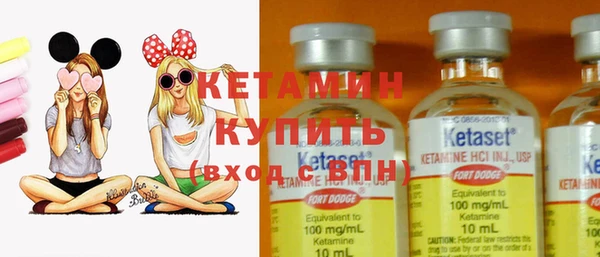 амф Дмитров