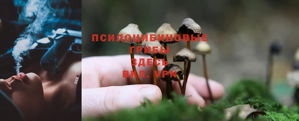 амф Дмитров