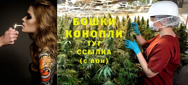 сатива Дмитриев