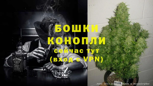 сатива Дмитриев