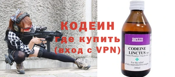 сатива Дмитриев