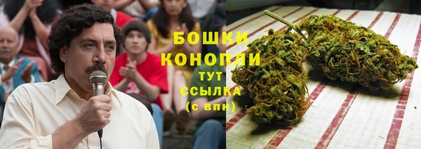 амф Дмитров