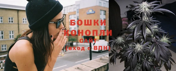 сатива Дмитриев