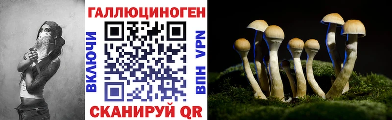 Купить закладки  Боровск  Галлюциногенные грибы Magic Shrooms 